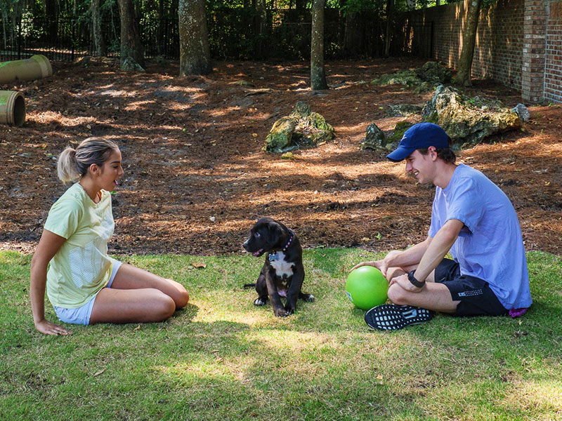 Two people playing with their dog in the pet friendly dog park
